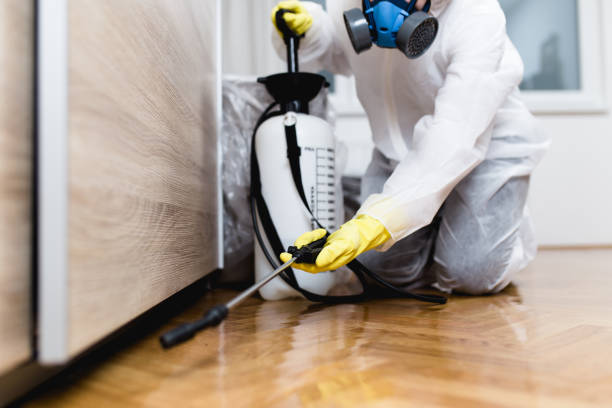 Best Wasp Removal Services  in Flanders, NY