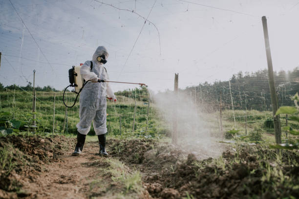 Best Pest Control for Homes  in Flanders, NY