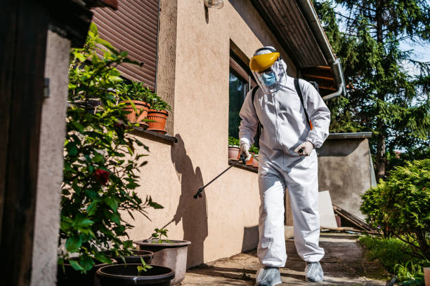 Best Cockroach Control Services  in Flanders, NY