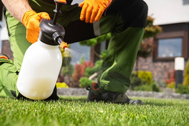Best Affordable Pest Control Services  in Flanders, NY