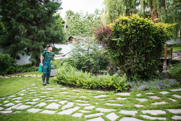 Best Best Pest Control Near Me  in Flanders, NY