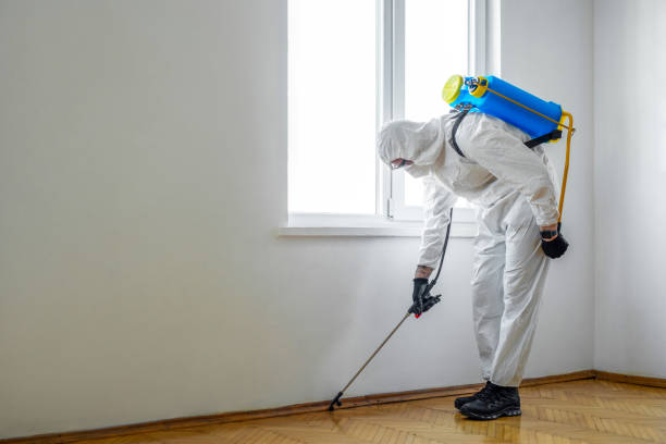 Best Best Pest Control Companies  in Flanders, NY