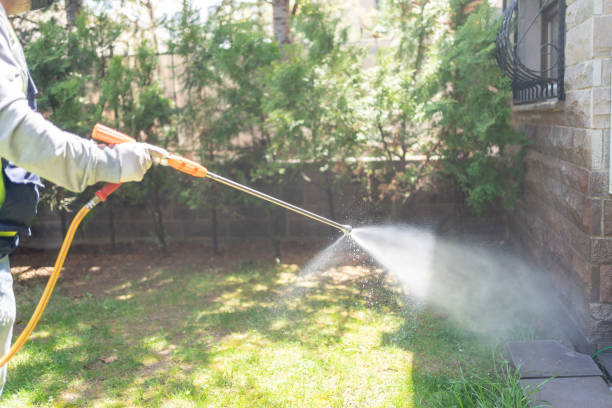 Best Pest Prevention Services  in Flanders, NY
