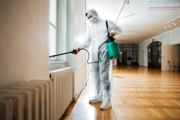 Best Mosquito Control Services  in Flanders, NY