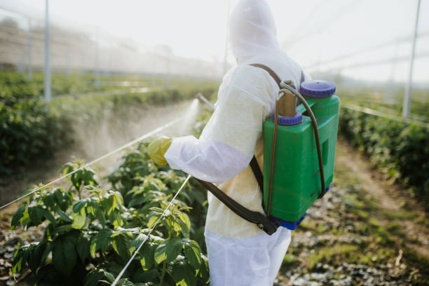 Best Wildlife Control Services  in Flanders, NY